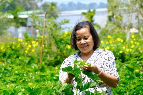 Người dân Đạ Tẻh bắt nhịp mô hình liên kết