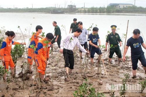 Đẩy mạnh tiết kiệm năng lượng trong bối cảnh mới