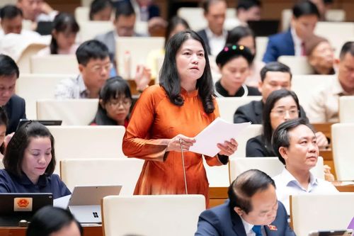 Đoàn đại biểu Quốc hội tỉnh tham gia thảo luận, kiến nghị nhiều giải pháp thiết thực