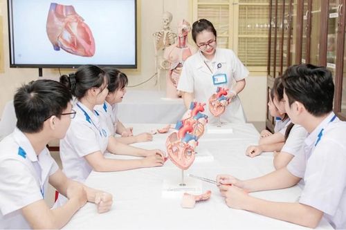 Trường Đại học Y - Dược, Đại học Huế: Đào tạo cao đẳng, đón cơ hội phát triển mới