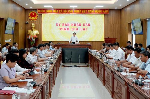 Gia Lai: Đồng hành, thúc đẩy doanh nghiệp tiên phong phát triển