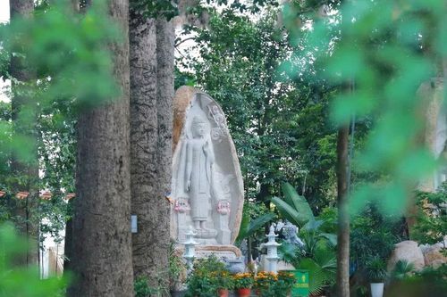Sự chấp trước