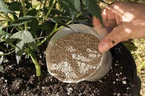 Khách hàng mua phân bón sử dụng cho cây trồng nhưng không cung cấp thông tin thì hóa đơn ghi nhận như thế nào?