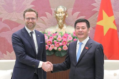 Phó Chủ tịch Quốc hội Nguyễn Hồng Diên tiếp Đoàn đại biểu Ủy ban Nghị viện EFTA
