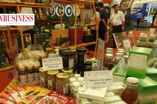 Sóng gió toàn cầu thử lửa thương hiệu Việt: Doanh nghiệp có đủ 'nội lực' để đứng vững?