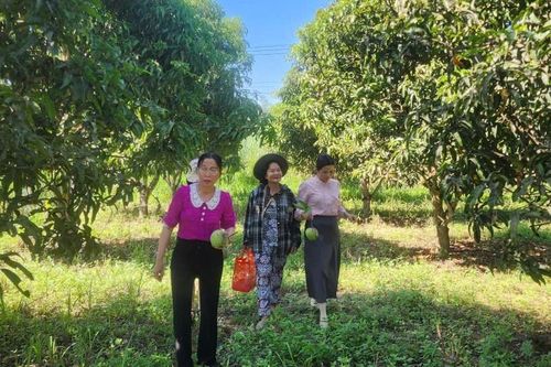 Khơi thông sinh kế từ dòng vốn tín dụng chính sách