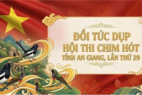 Hội tụ đam mê bên triền đồi Tức Dụp
