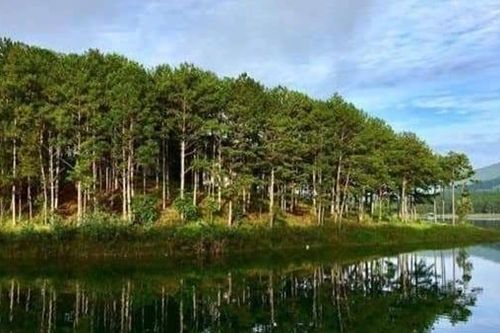 Phát hiện thi thể phân hủy ở Khu du lịch Quốc gia hồ Tuyền Lâm