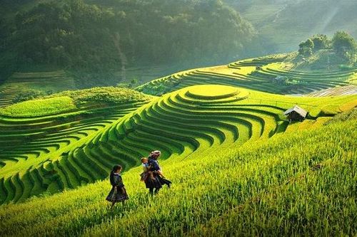 Du lịch xanh - Con đường phát triển bền vững
