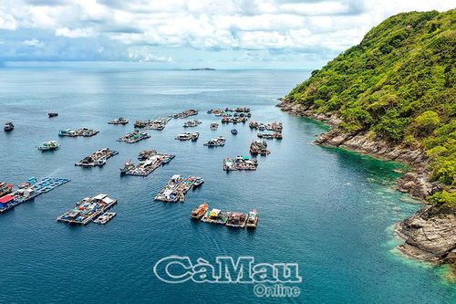 Nghề nuôi biển dần định hình