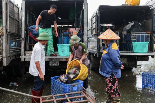 Cảnh ô nhiễm kéo dài tại chợ cá lớn nhất Hà Nội trước ngày bị giải tỏa