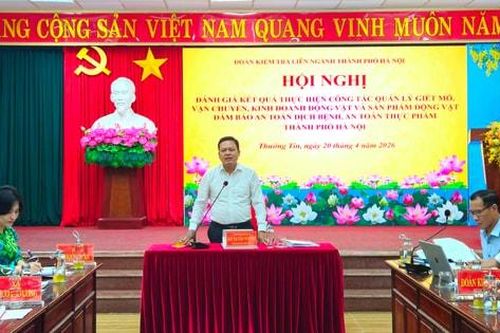 Đoàn Kiểm tra liên ngành thành phố làm việc với 12 xã về công tác kiểm soát giết mổ