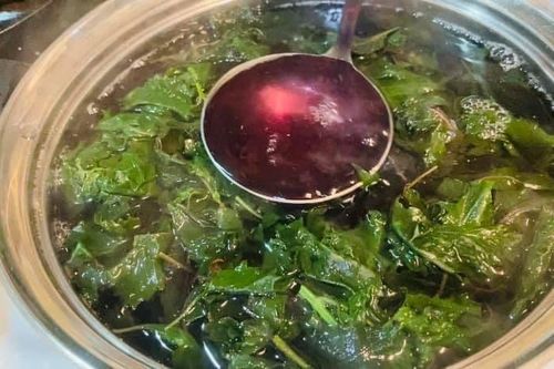 4 cách nấu nước lá tía tô hỗ trợ giảm cân, đẹp da và tốt cho sức khỏe