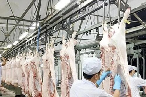 Hà Nội: Từ 25-4 đến 10-5-2026, mỗi xã phường thí điểm một mô hình đảm bảo an toàn thực phẩm
