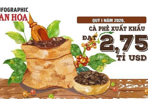 Xuất khẩu cà phê quý I.2026 đạt 2,75 tỉ USD, Đức dẫn đầu, giá giảm 16,9%