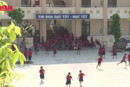 [Video] Rà soát dự án trường học chậm triển khai tại Hà Nội