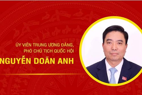 [Infographic] Tiểu sử Phó Chủ tịch Quốc hội Nguyễn Doãn Anh