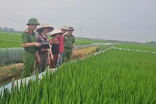 Hậu quả đau lòng từ việc dùng điện để bẫy, bắt, diệt chuột