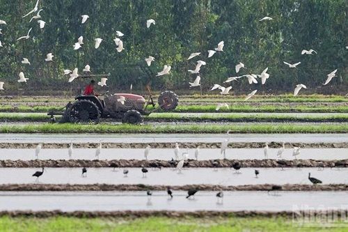 Bảo tồn thiên nhiên ngoài khu bảo tồn