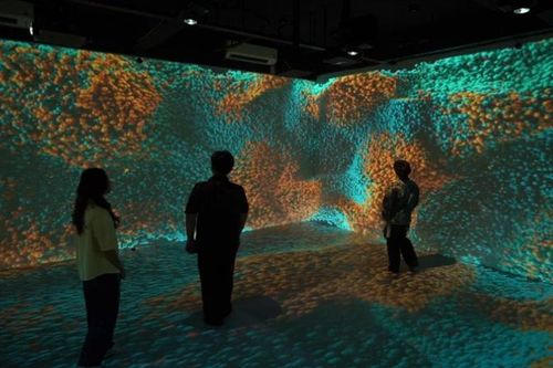 Đại học Kinh tế Thành phố Hồ Chí Minh đưa vào vận hành không gian học tập Immersive Room
