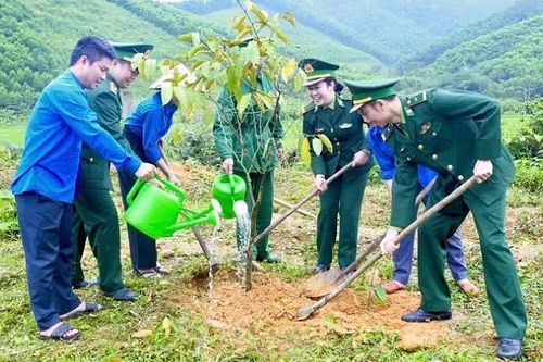 Tuổi trẻ cả nước trồng hơn 5,6 triệu cây xanh trong Tháng Thanh niên 2026