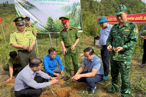 Đồn Biên phòng Lũng Cú phối hợp trồng cây 'Vành đai biên giới xanh'