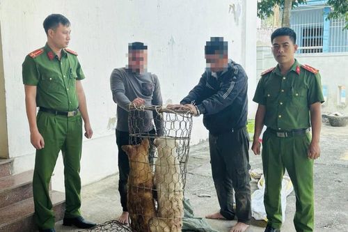 'Cẩu tặc' sa lưới
