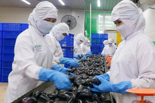 TPHCM đẩy mạnh ứng dụng AI để phòng ngừa tai nạn lao động