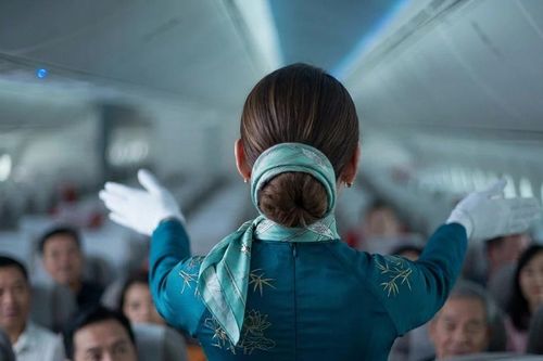 Tiếp viên hàng không và khoảng trống khi đối mặt với rủi ro bệnh lý