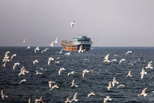 Có gì trên tàu hàng Iran bị Mỹ thu giữ trên Vịnh Oman?