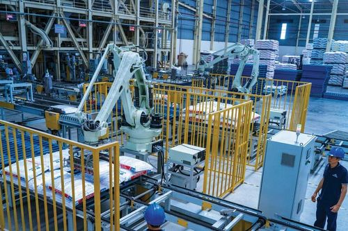 Nông nghiệp Hòa Phát lãi 345 tỷ đồng quý I, sẽ trả 36% cổ tức tiền mặt năm 2026
