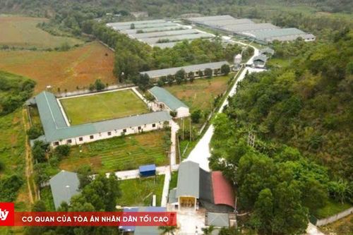 Công ty chăn nuôi Bình Sơn bị phạt hơn 400 triệu đồng vì xả thải vượt chuẩn
