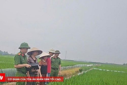 Một phụ nữ tử vong do vướng phải dây điện bẫy chuột