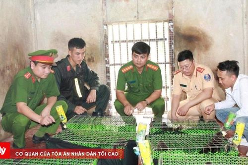 Bắt giữ đối tượng vận chuyển động vật quý hiếm qua Nghệ An