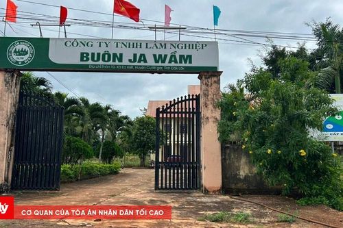 Đắk Lắk: Nguyên lãnh đạo một số đơn vị, doanh nghiệp bị khai trừ Đảng