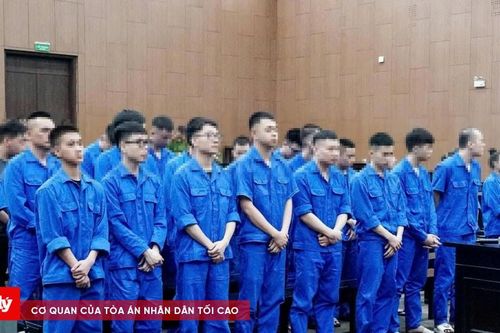 Cựu Phó Chủ tịch phường sử dụng ma túy bị đề nghị mức án hơn 6 năm tù