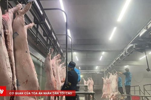 Mỗi xã, phường của Hà Nội thí điểm ít nhất một mô hình đảm bảo an toàn thực phẩm