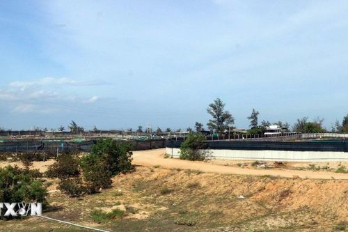 Sớm hoàn thành khu tái định cư 3 khu vực vùng dự án Điện hạt nhân Ninh Thuận 1