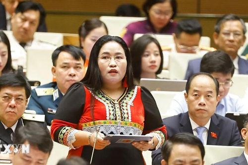 Lấp đầy 'khoảng trống' về dữ liệu và ngân sách trong thực thi bình đẳng giới