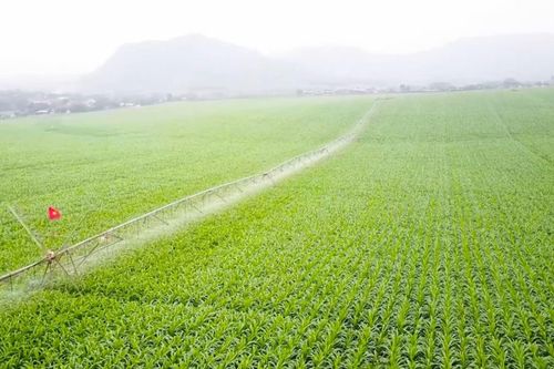 Phát triển nông nghiệp thông minh - Bài 1: Đột phá từ thể chế và chuyển đổi tư duy