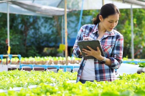 Phát triển nông nghiệp thông minh - Bài cuối: Khi AI và dữ liệu không gian thay đổi cách làm nông