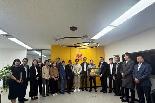 Cao su Việt Nam tăng tốc tiếp cận thị trường Hàn Quốc, mở rộng cơ hội hợp tác
