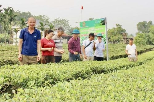 Nông nghiệp hữu cơ: Hướng đi bền vững cho nông sản