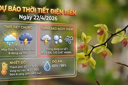 Bản tin Dự báo thời tiết ngày 22/4/2026