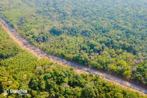 Gìn giữ 'địa chỉ đỏ' giữa đại ngàn