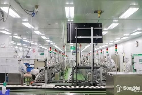 Doanh nghiệp kỳ vọng về một thành phố Đồng Nai phát triển toàn diện