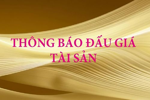 Chi nhánh Công ty Đấu giá Hợp danh Lê Nguyên thông báo đấu giá tài sản
