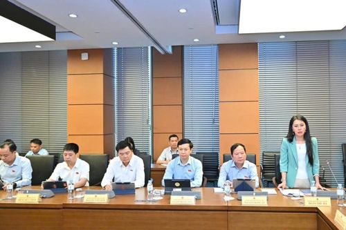 Đại biểu Quốc hội tỉnh phát biểu thảo luận về kết quả thực hiện kế hoạch phát triển kinh tế - xã hội