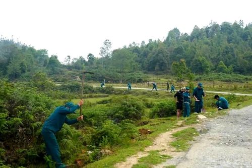 Tả Van trồng 300 cây hoàng đàn, xanh hóa thao trường