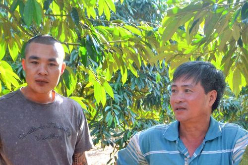 Ðào tạo nghề gắn với nông dân số